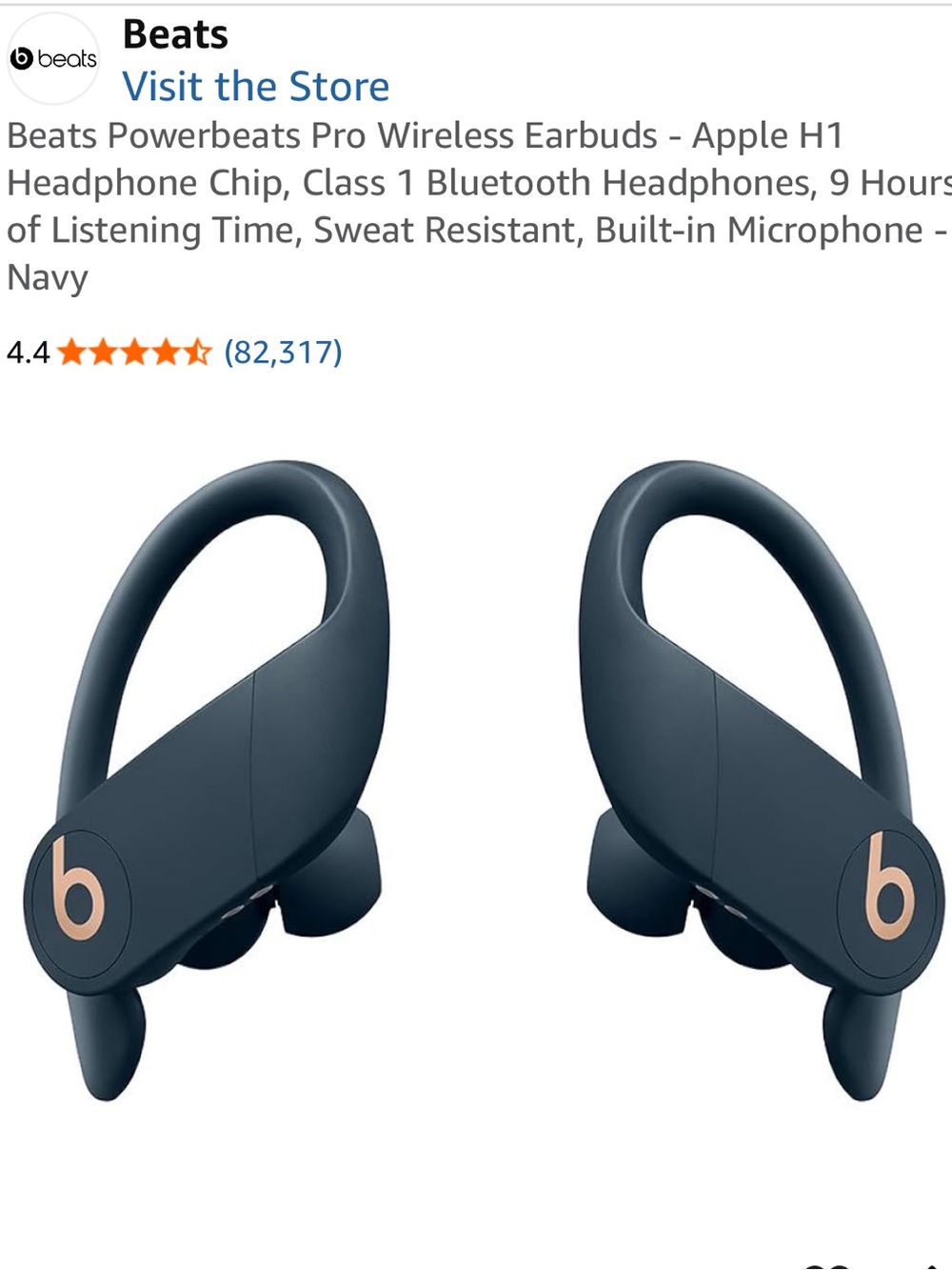 Beats Powerbeats Pro Wireless Earbuds